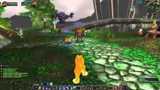 Давайте поиграем в World of Warcraft Серия 8 15-16LVL