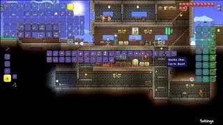 Lanjut Terraria Bois!