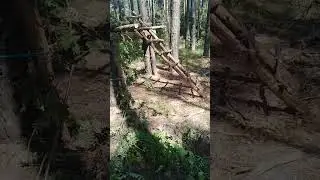 Ирпень. Постройка в лесополосе.