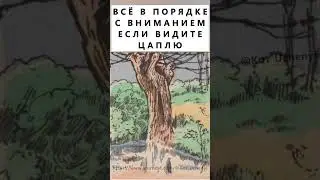 Найдёте на картинке цаплю? #тестнавнимательность