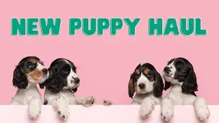 A New Puppy Haul | Amazon Puppy Haul | Puppy Essentials