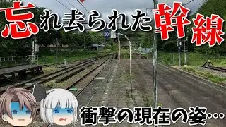 これが過去の特急街道！？大動脈から外された「新潟県初の路線」の現在はどうなった…？【名列車で行こうトキてつ編 Part1】