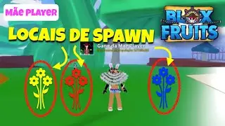 LOCAL DE SPAWN DAS FLORES PARA RAÇA V2 NO BLOX FRUITS