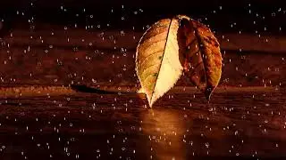 Rain Effect Black Screen