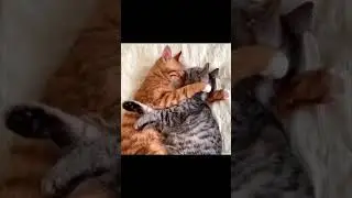 Знаєш кому відправити❤️