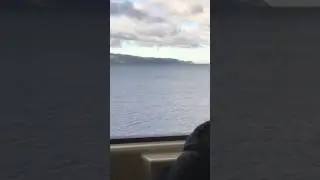 Wellington Harbour 30/5/2017