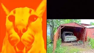 Твой гараж: