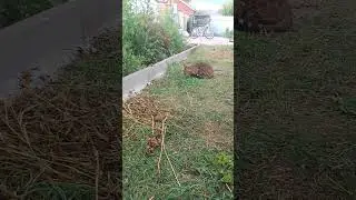 16 ноября 2023 г.