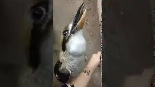 Когда заводишь жигули в 40 градусный мороз