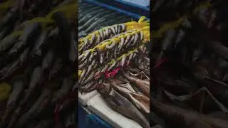 제천 시장 | #shorts #제천원도심활성화공모전 #제천여행 #제천원도심상권르네상스사업단 #제천 #truonghoang