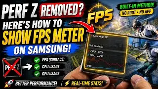 Perf Z Removed? How to Show FPS Meter on Samsung (No Root)