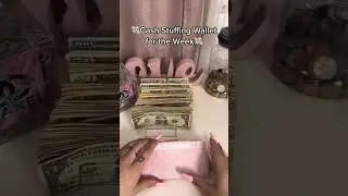 ASMR Cash Stuffing Wallet for the Week 💸 
