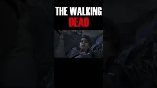 The walking dead 4 4 