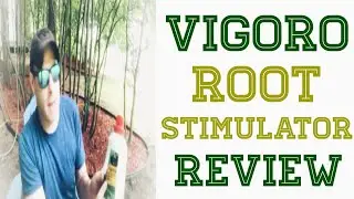 VIGORO Root Builder Stimulator Review
