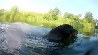 Июнь.Жара.Купаемся.