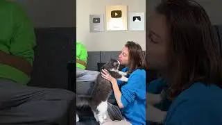 Fake Tongue Prank 🐭