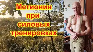Метионин при силовых тренировках