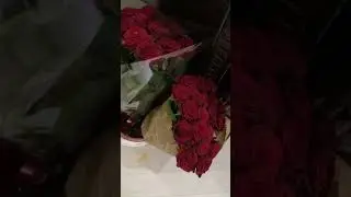 Много цветов не бывает