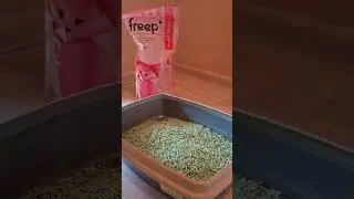 Растительный наполнитель для кошек Tofu @freepru