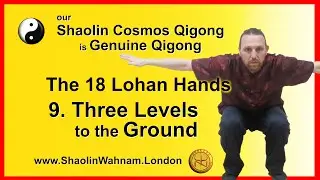 Qigong - 18 Lohan Hands #09 There Levels to the Ground - School Principal Grandmaster Wong Kiew Kit