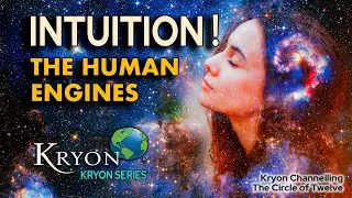 THE HUMAN ENGINE OF INTUITION