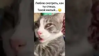 16 мая 2023 г.