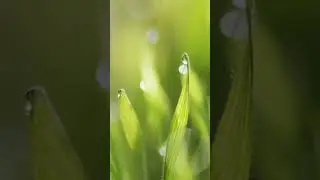 Water Sounds & Calm Piano Music | Sleep, Meditation, Spa, Yoga, Relax