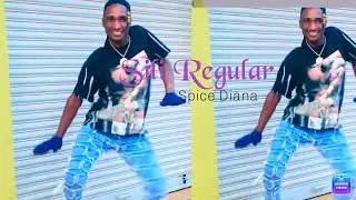 Sili Regular Spice Diana