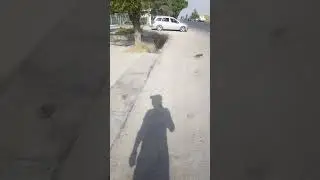 20 августа 2024 г.