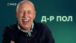 Nat Geo Wild HD Bulgaria - Continuity - Spring 2020 [King Of TV Sat]