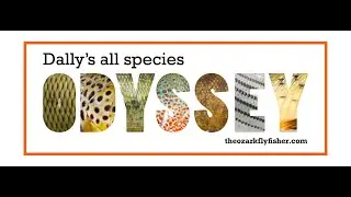 Dally's All Species Odyssey 2021