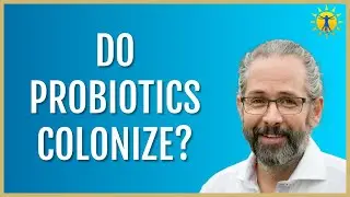☀️ What To Know About Probiotics And Colonization