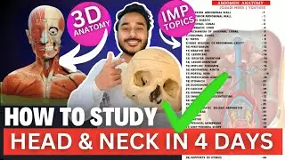 Head and neck anatomy | important topics of head and neck | head and neck important topics