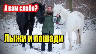 Конно-лыжный пикничок. Приглашаем!