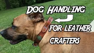 Making a new leather collar with a handle on it for my dog Pepper.