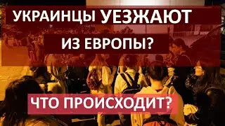Украинцы УЕЗЖАЮТ ИЗ ЕВРОПЫ? Откуда и куда едут беженцы