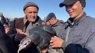 9-НОЯБР/2025/ШЫМБАЙ ТАУЫК БАЗАРЫ/ТАУЫК БАЗАР 2025/ДЕМ БЕРМЕС