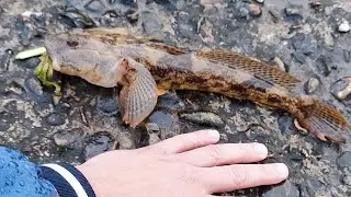 Рыбалка на Чёрном море.Май 2023#рыбалка #рыбалканачерномморе #rockfishing #туапсинскийрайон