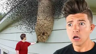 CRAZIEST Things Found in the WORLD