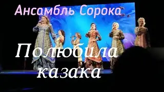 Ансамбль Сорока - Полюбила казака 🎶 Зажигательная песня 🔥