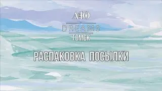 Ольга Ильченко.А&Ю DREAMS. Распаковка посылки.