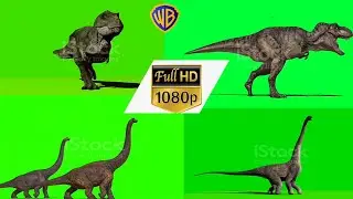Brachiosaurus Dinosaur Looking on Green Screen stock video...