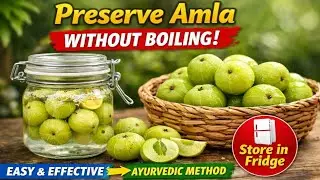 BEST way  to Preserve Amla | આમળા નો લાંબા સમય સુધી ઉપયોગ |