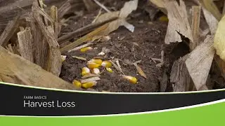 Harvest Loss