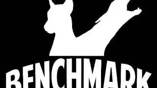 Benchmark Working Doberman