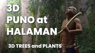 Patterns of Regularity in Nature - 3D Trees and Plants - The Coconut Tree. (With English subtitle)