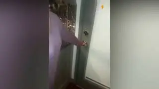 Еноты Решили Заглянуть в Гости
