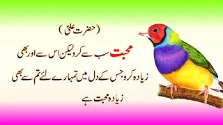 Most Amazing quotes of Hazrat Ali (R.A) / Hazrat Ali ke aqwal e zareen/Hazrat Ali quotes about life