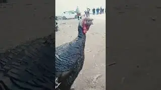 24 марта 2024 г.