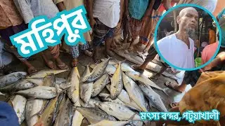 তেত্রিশ হাজার টাকায় বিক্রি হলো সামুদ্রিক অসংখ্য অসংখ্য বড় মাছ 🐟 | কোয়াকাটা Vlog